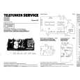 Cover page of TELEFUNKEN P450CV Service Manual